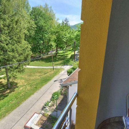 Apartments Banjica Soko Banja Εξωτερικό φωτογραφία