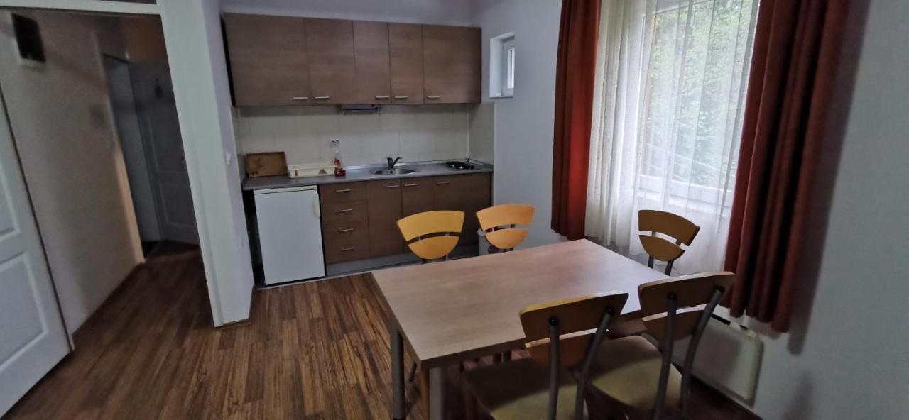 Apartments Banjica Soko Banja Εξωτερικό φωτογραφία