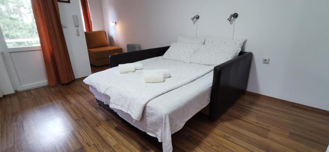 Apartments Banjica Soko Banja Εξωτερικό φωτογραφία